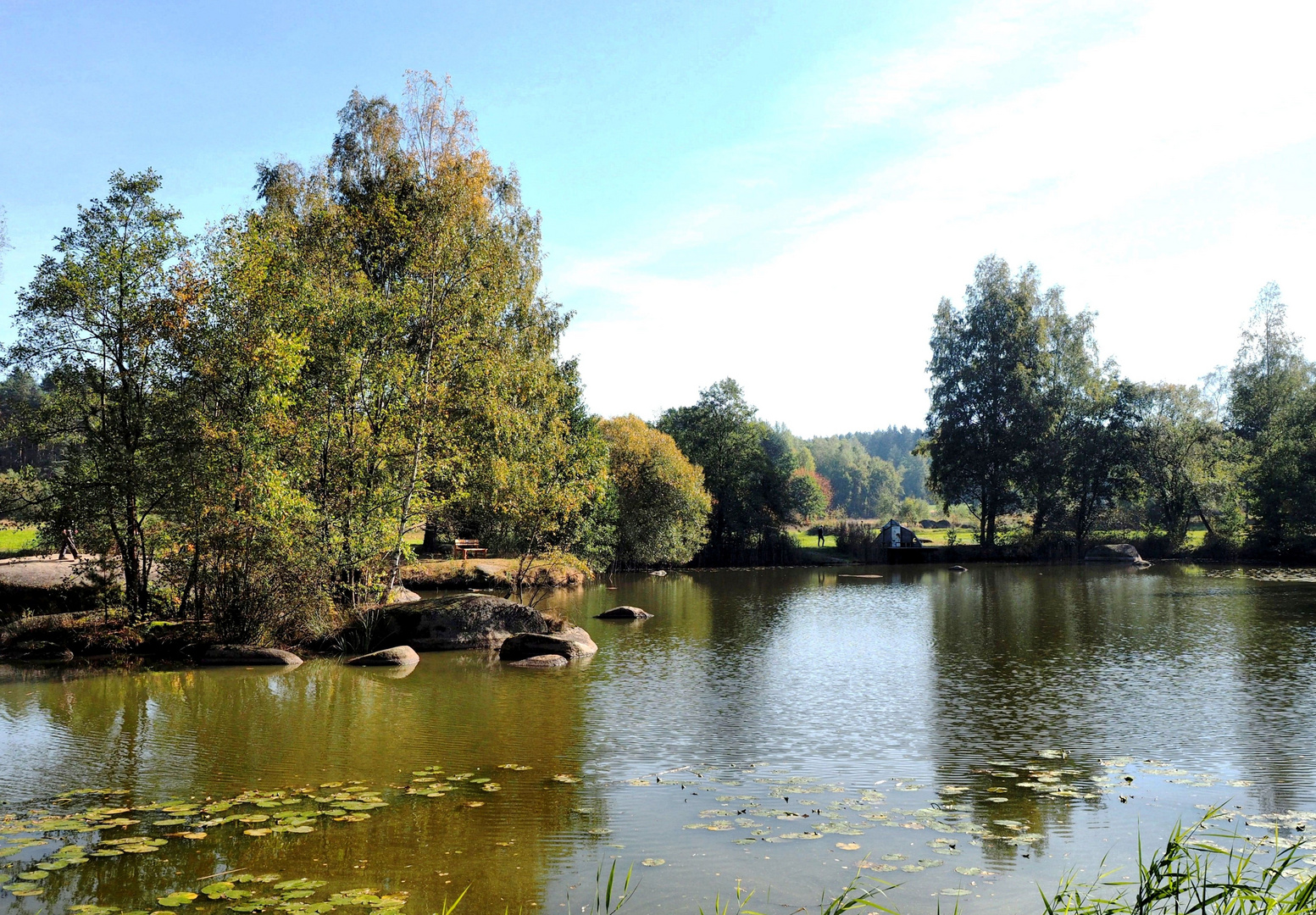 Naturpark Blockheide (7)