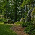 Naturpark Blockheide Gmünd , Niederösterreich (1 von 1)