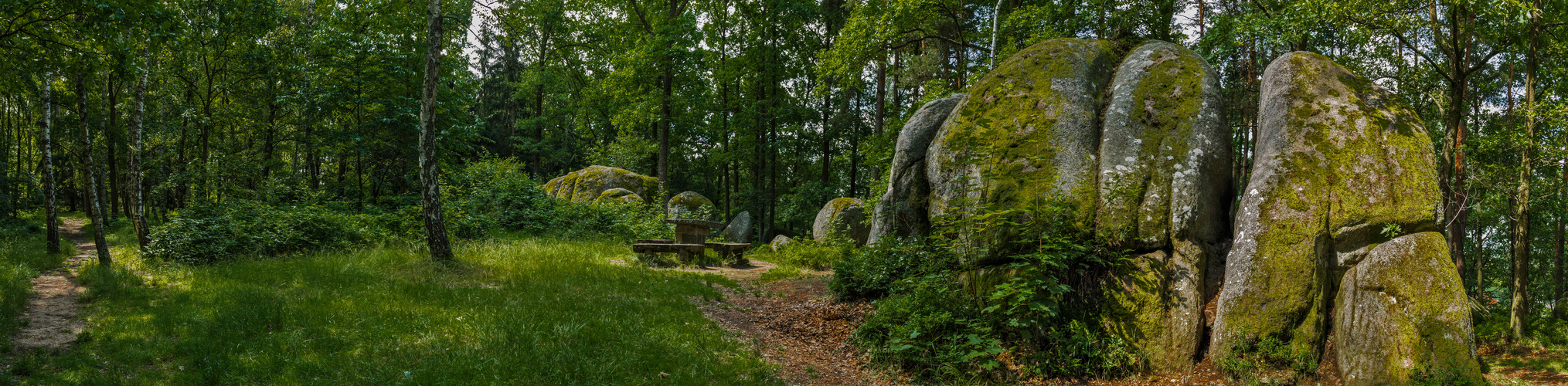 Naturpark Blockheide Gmünd , Niederösterreich (1 von 1)