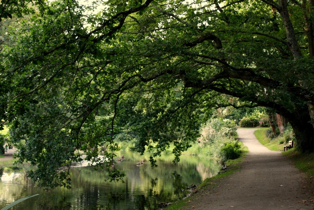 Naturpark (Brest)