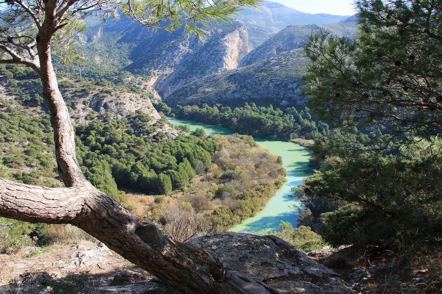 Naturpark Desfiladero des los Gitanes, Ardales, Spanien (2)