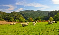 Naturpark Diemelsee