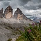 Naturpark drei Zinnen