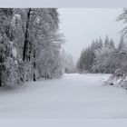 Naturpark Ebbegebirge