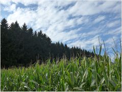 naturpark eifel