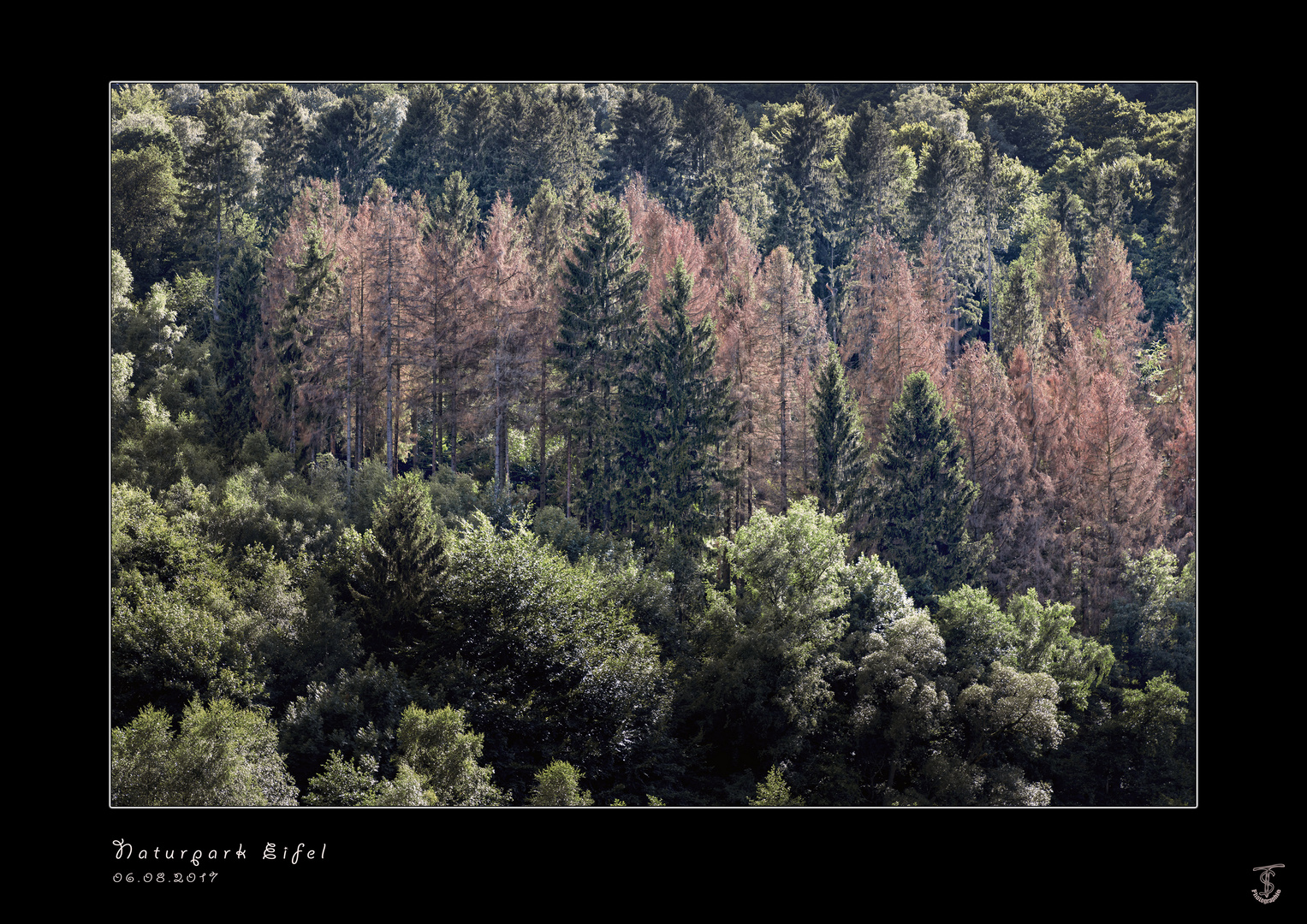 Naturpark Eifel