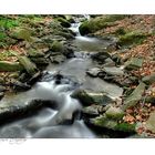 Naturpark Erzgebirge