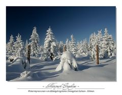 Naturpark Erzgebirge