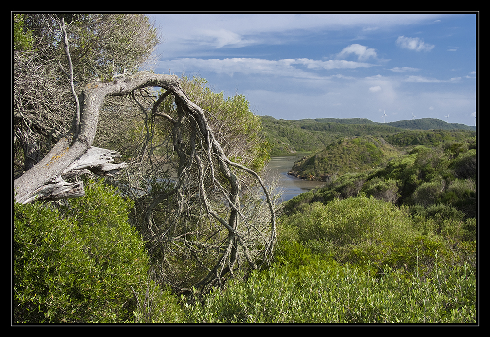 Naturpark Es Grau, Menorca