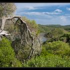 Naturpark Es Grau, Menorca