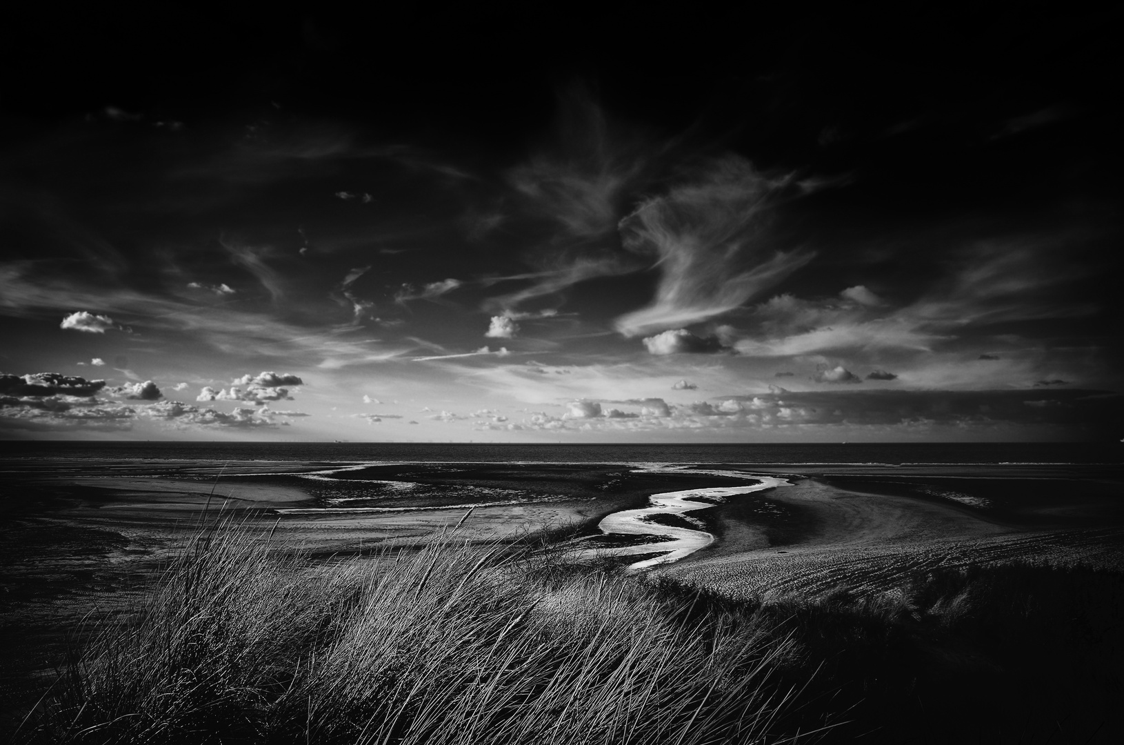 Naturpark Het Zwin - Holland