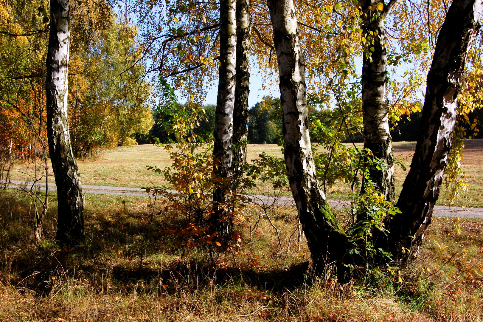 Naturpark Hoher Fläming