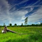 Naturpark Hohes Venn-Eifel