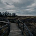 Naturpark Hohes Venn - Eifel.1