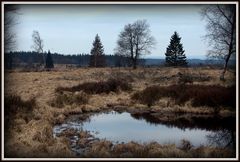 Naturpark Hohes Venn - Eifel.7