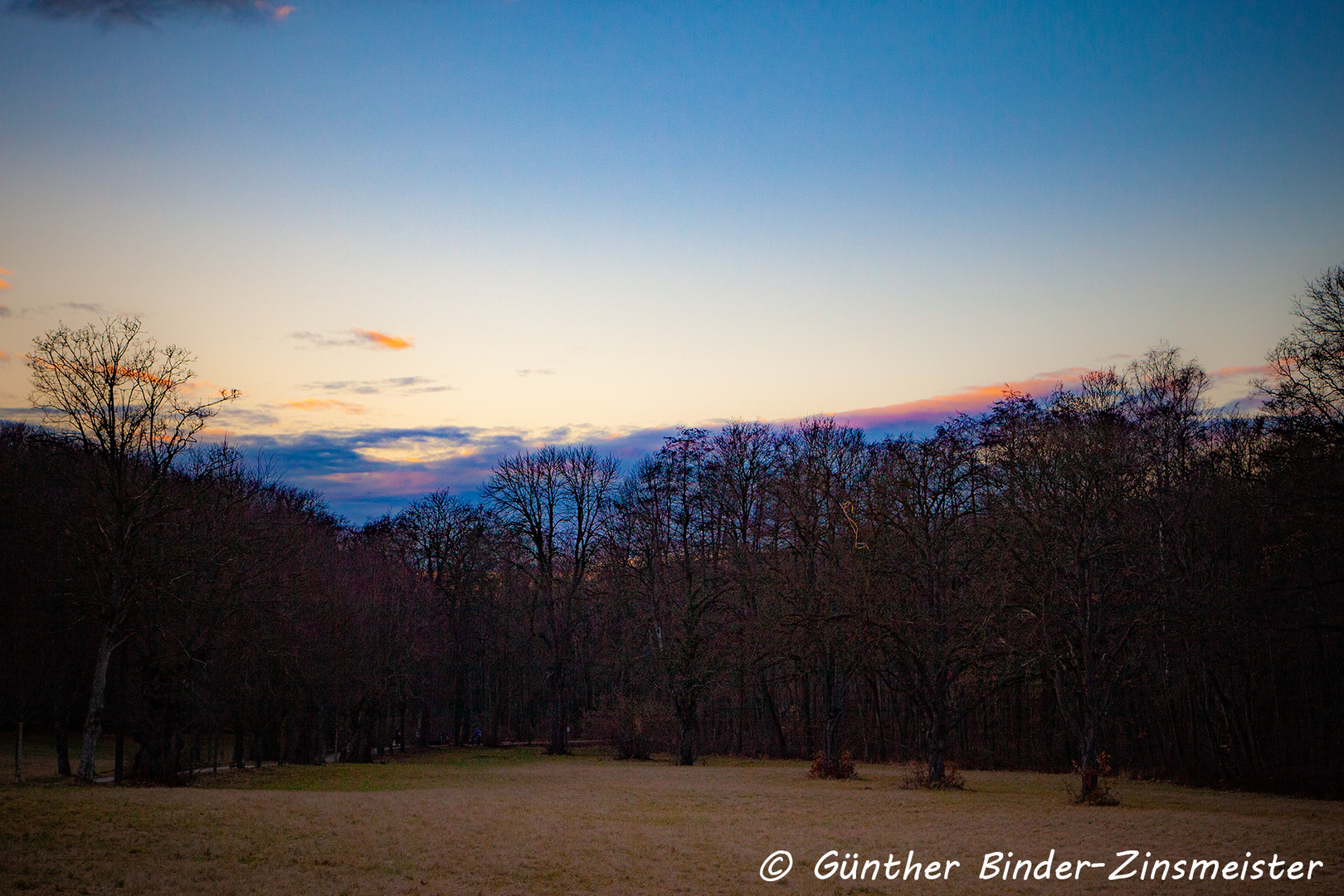 Naturpark im Jänner