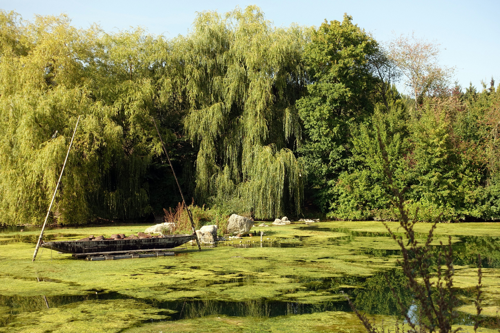 Naturpark in Sigmaringen