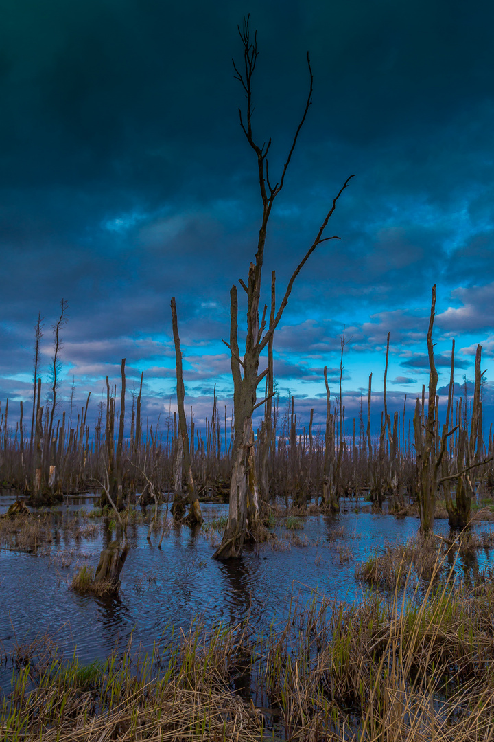 Naturpark Insel Usedom