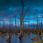 Naturpark Insel Usedom