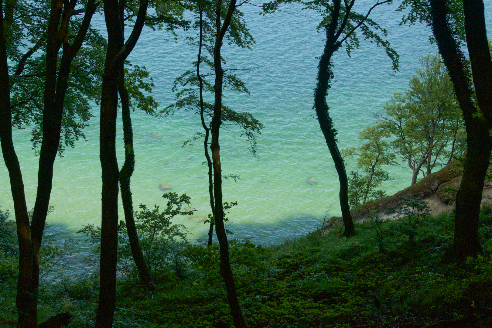 Naturpark Jasmund auf Rügen