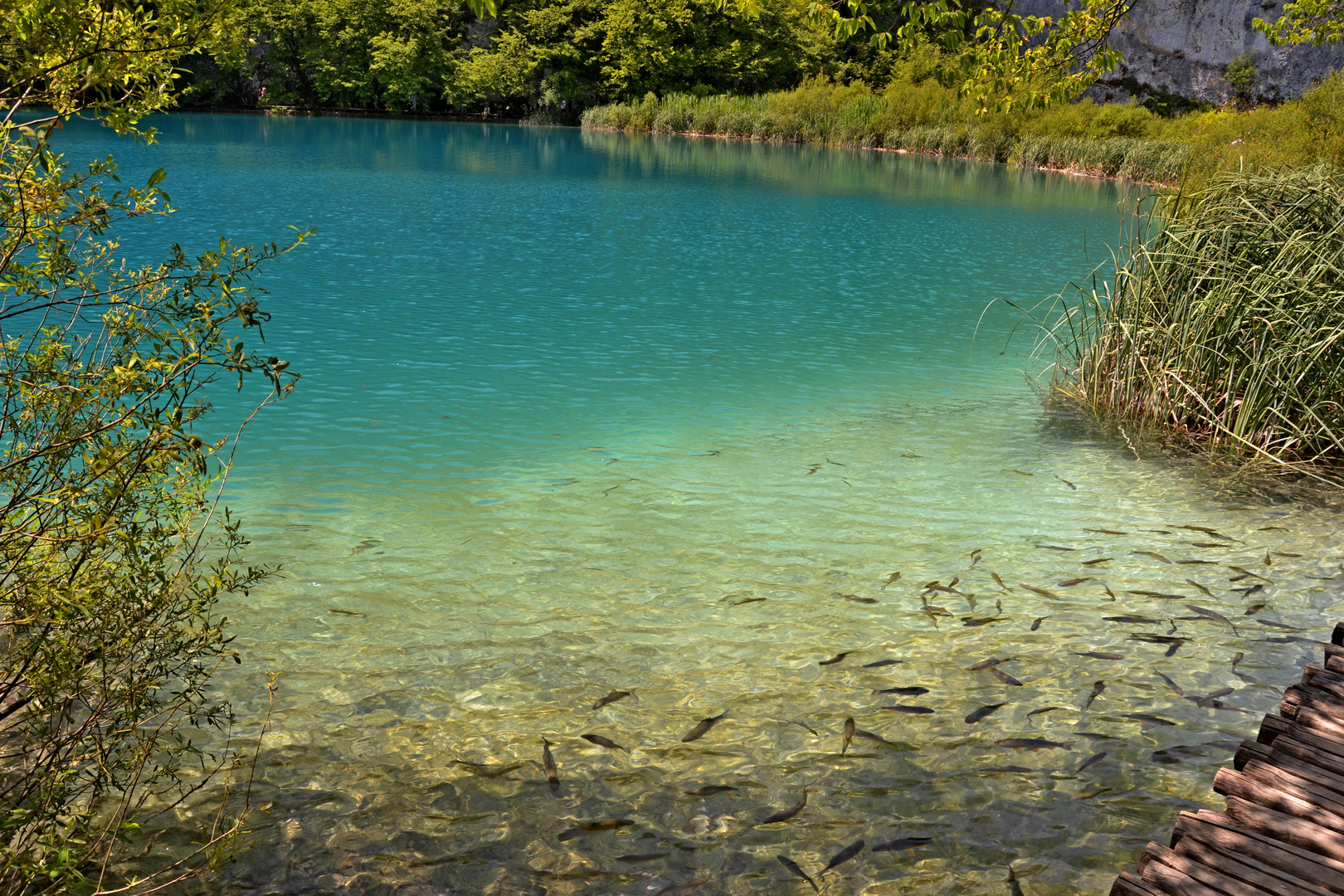 Naturpark Kroatien 