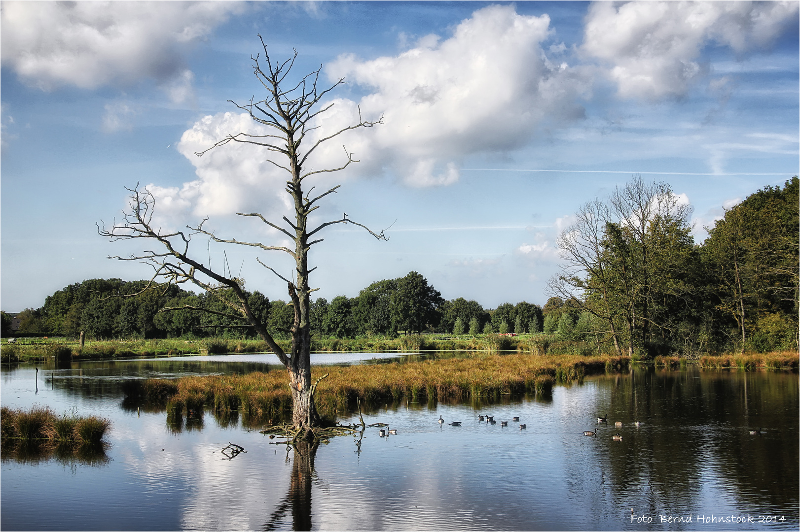 Naturpark Maas-Schwalm-Nette ....