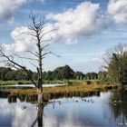 Naturpark Maas-Schwalm-Nette ....