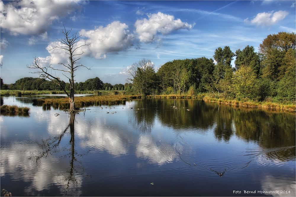 Naturpark Maas .. Schwalm ... Nette