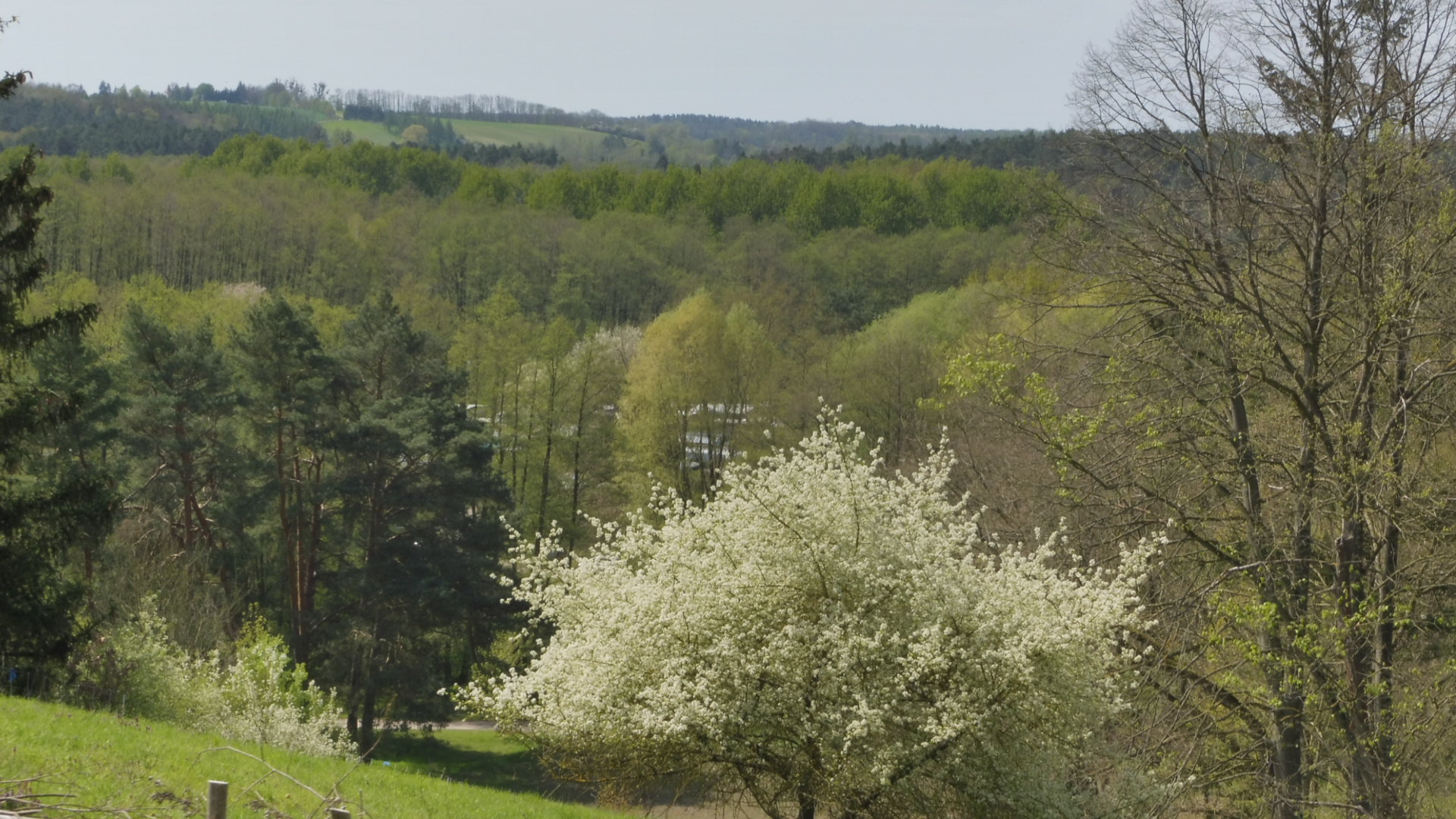 Naturpark Märkische Schweiz /2