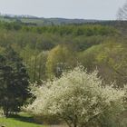 Naturpark Märkische Schweiz /2