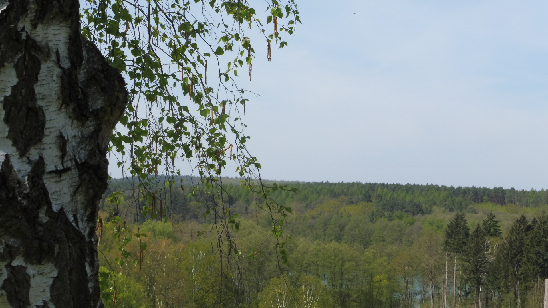 Naturpark Märkische Schweiz /3