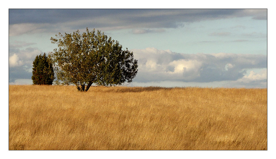 Naturpark Mols Bjerge