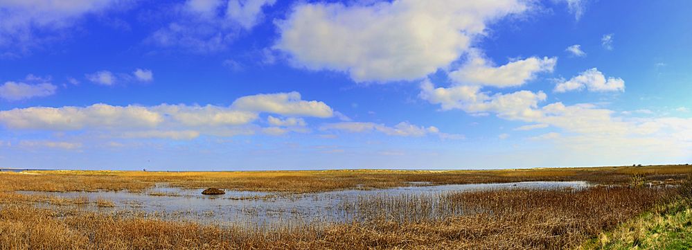 Naturpark Niedersächsisches Wattenmeer....