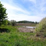 Naturpark Nuthe-Nieplitz