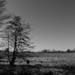 Naturpark Nuthe-Nieplitz