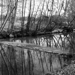 Naturpark Nuthe-Nieplitz