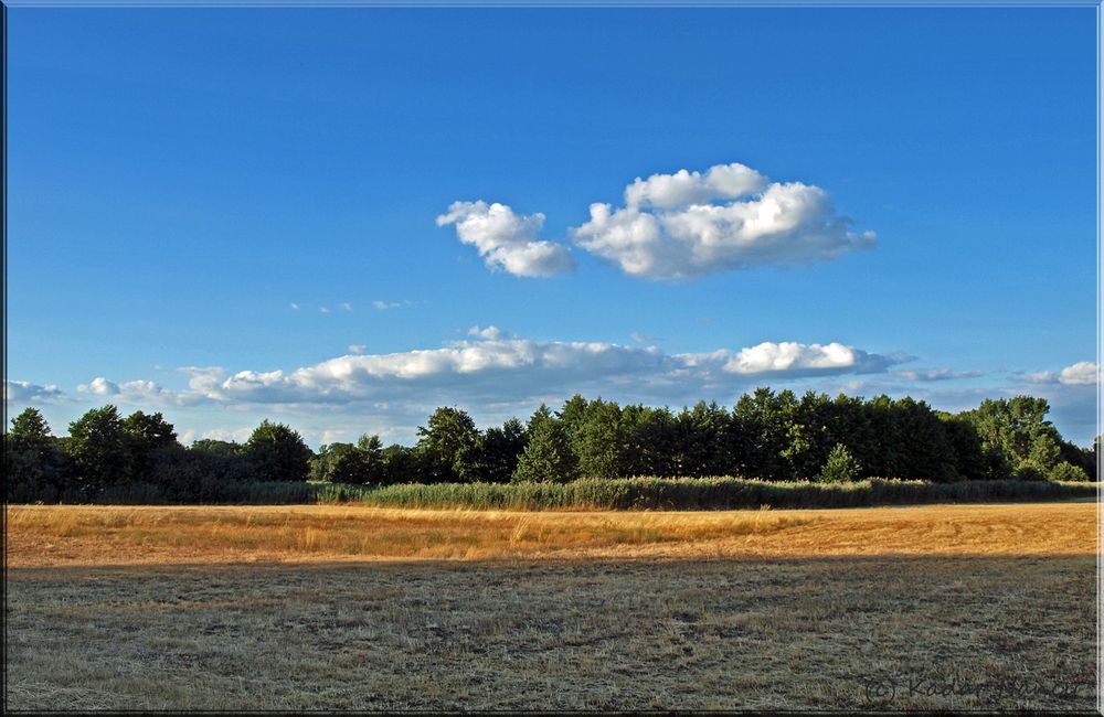 Naturpark Nuthe-Nieplitz - Feld bei Gröben