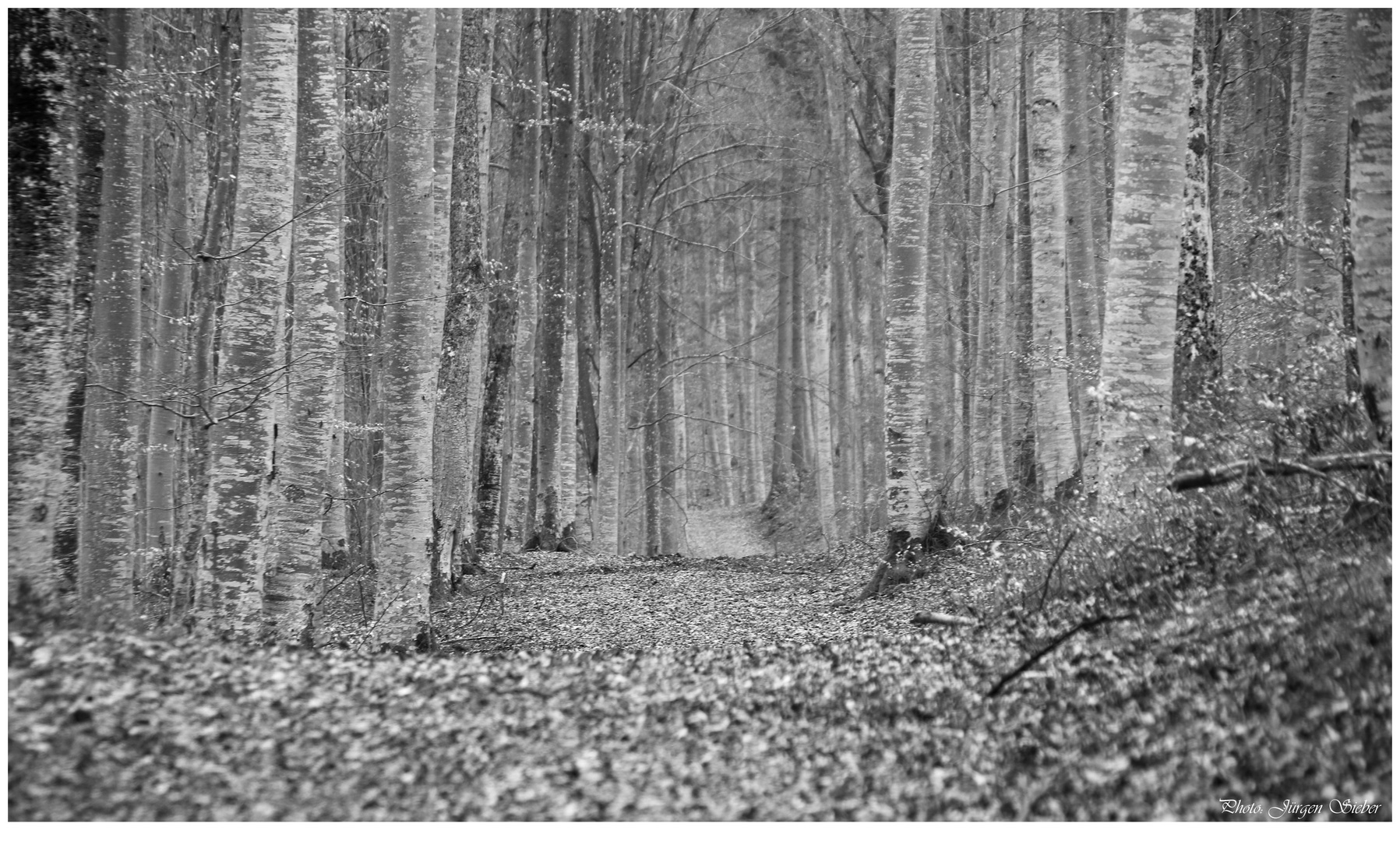 Naturpark Obere Donau