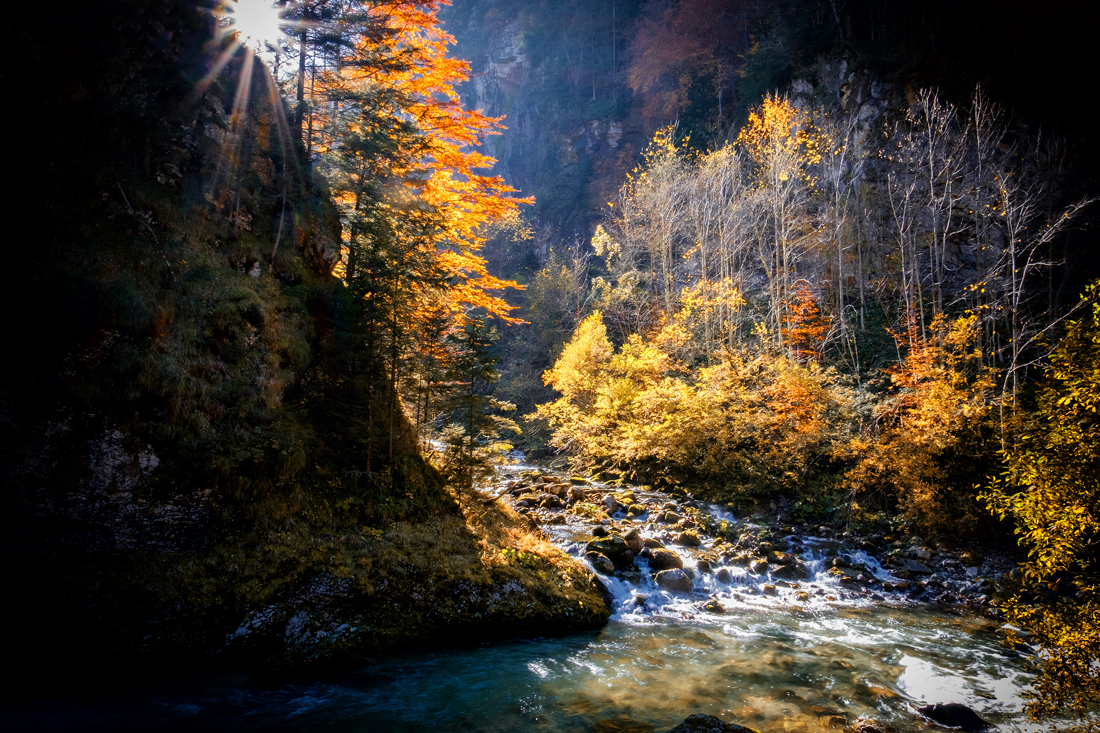 Naturpark Ötscher Tormäuer