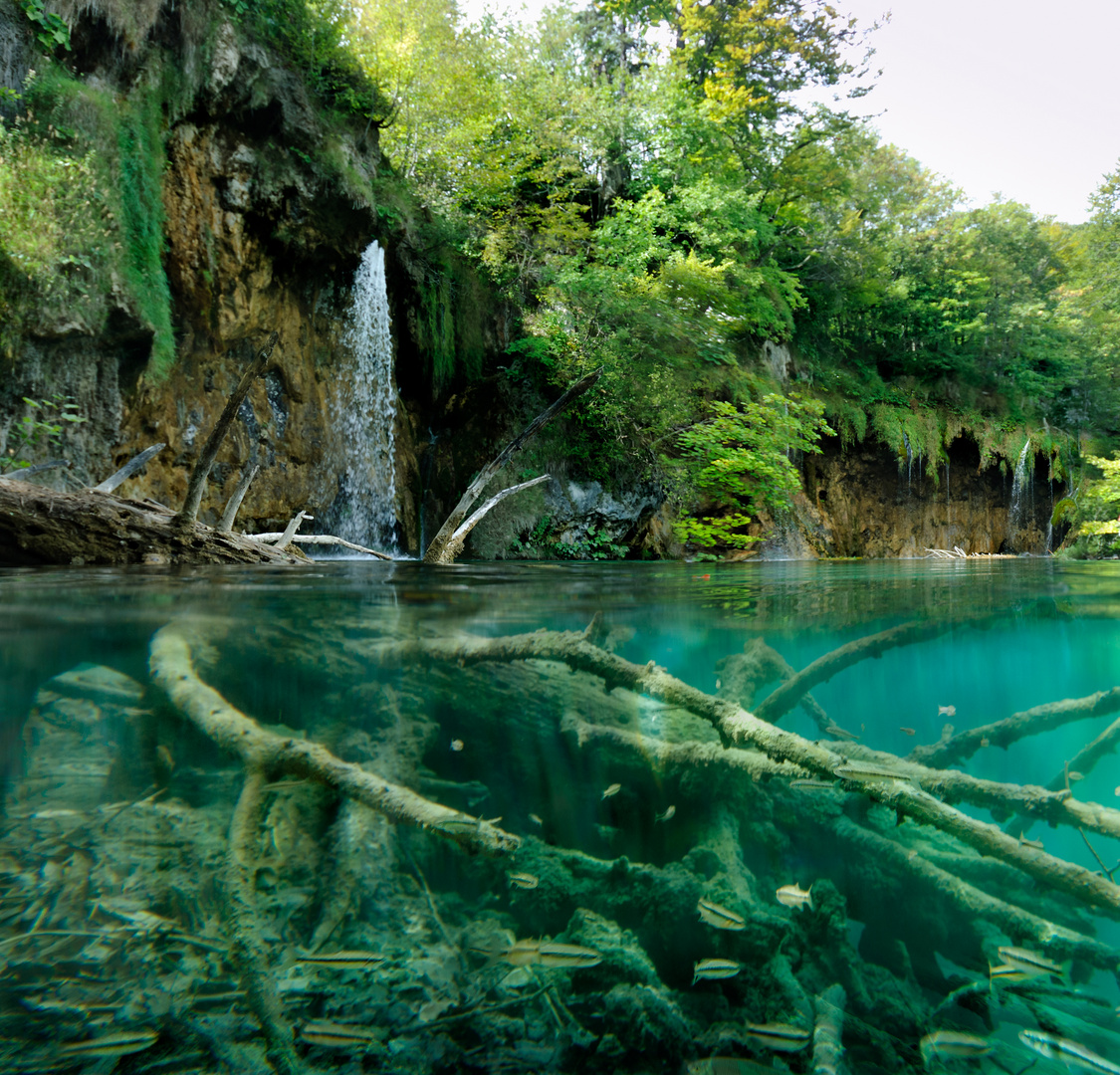 Naturpark Plitvice Kroatien