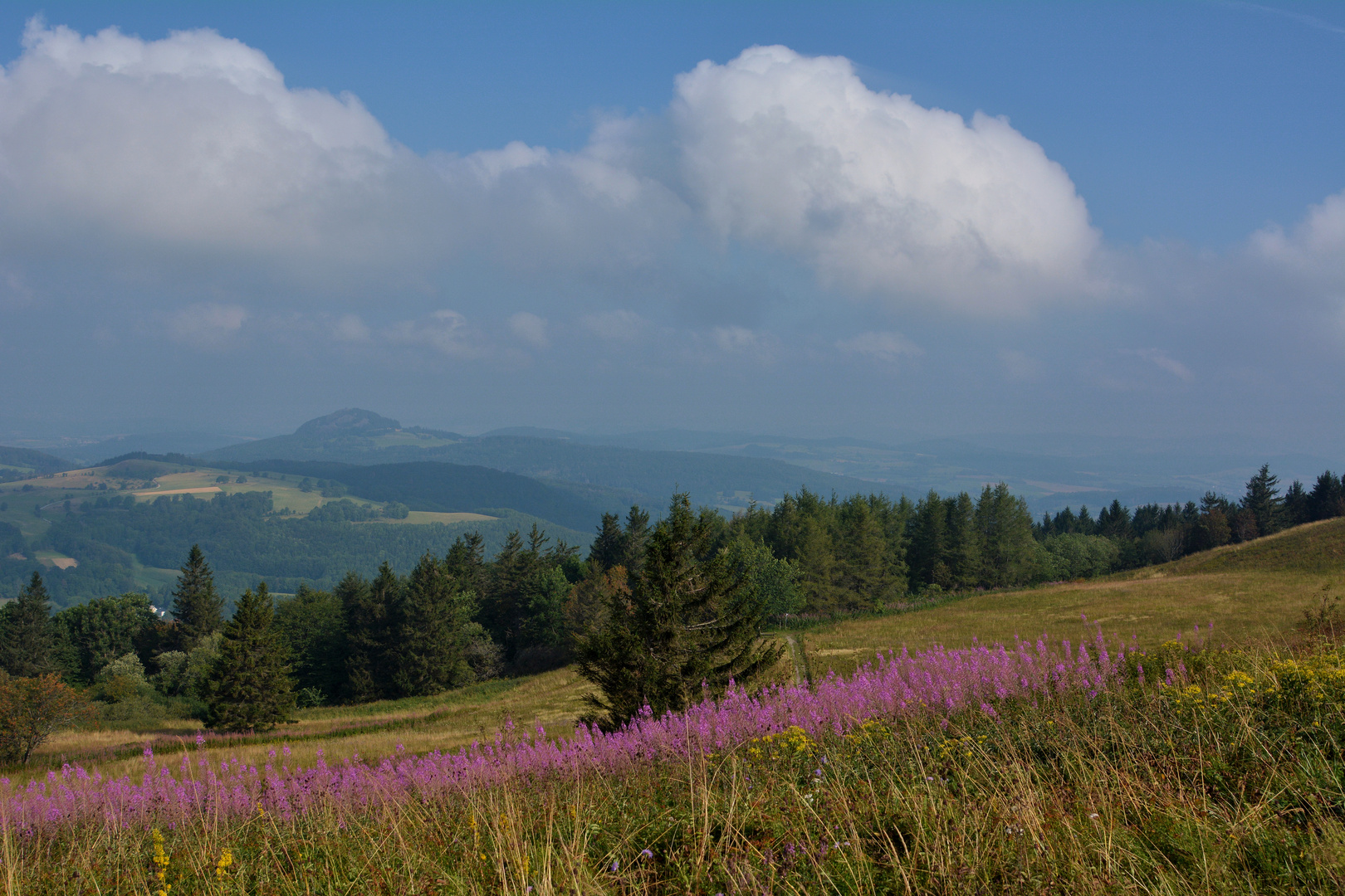 Naturpark Rhön