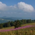 Naturpark Rhön