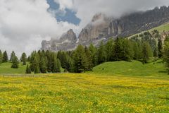 Naturpark Rosengarten mit Blick auf die Dolomiten