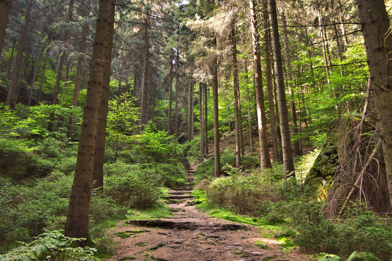 Naturpark Sächsische Schweiz