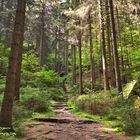 Naturpark Sächsische Schweiz