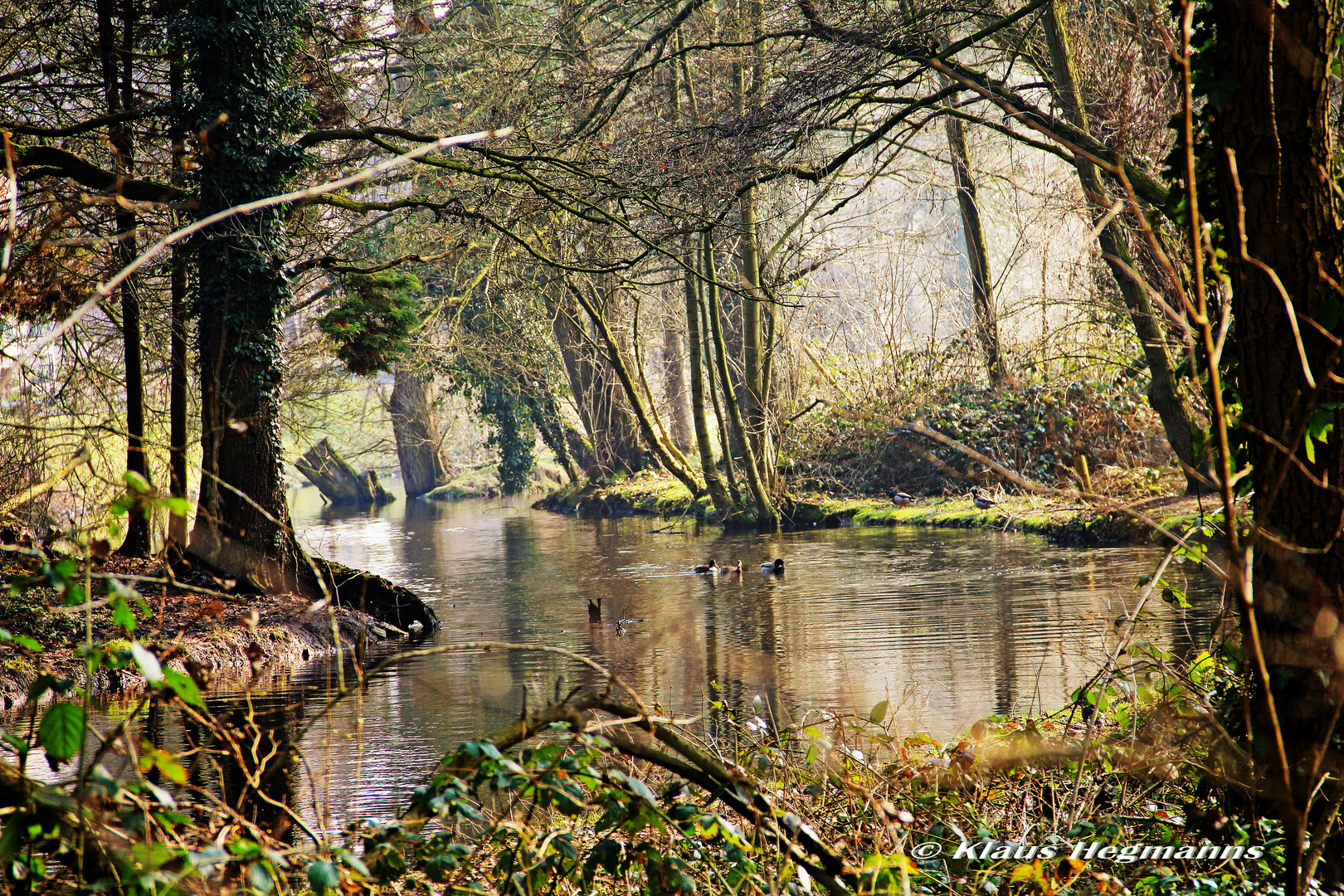 Naturpark Schwalm-Nette