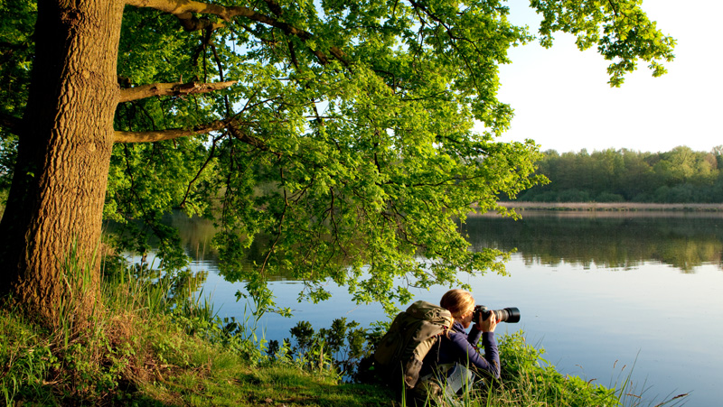 Naturpark Schwalm-Nette | Fotoworkshop - Landschaftsfotografie