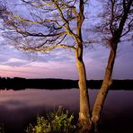 Naturpark Schwalm-Nette | Fotoworkshop - Landschaftsfotografie