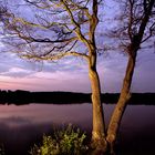 Naturpark Schwalm-Nette | Fotoworkshop - Landschaftsfotografie