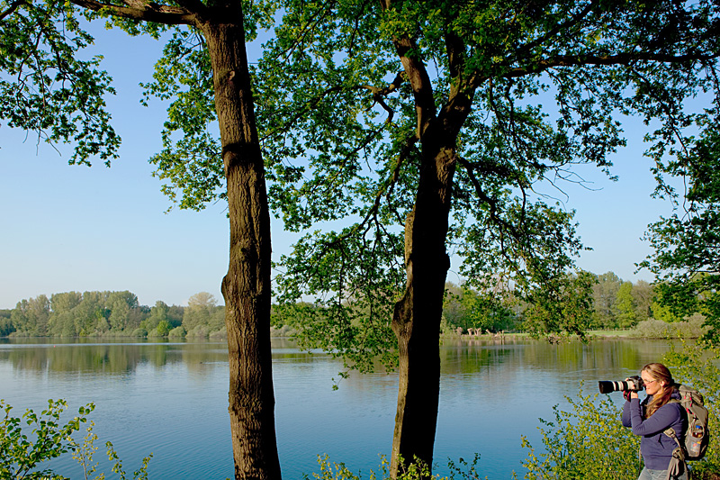 Naturpark Schwalm-Nette | Fotoworkshop - Naturfotografie